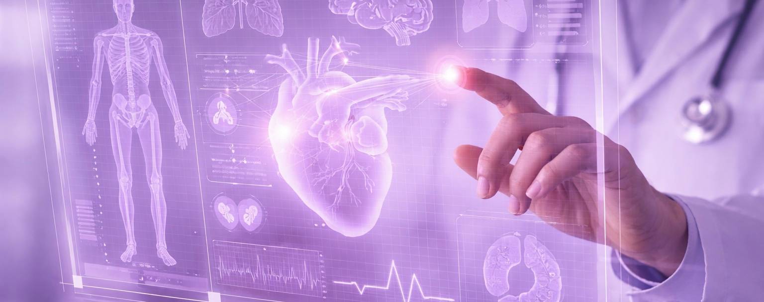 image of A virtual human anatomy - Generated with Gemini